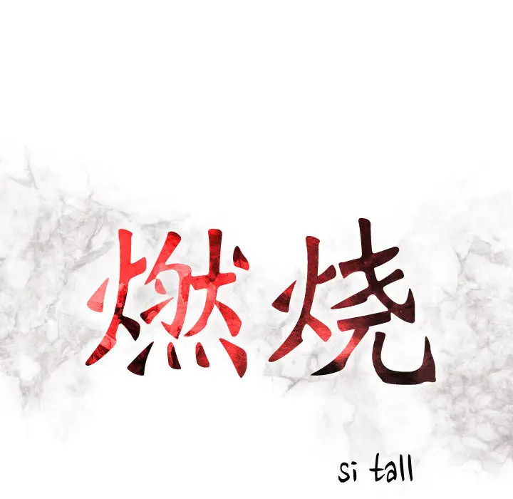 燃烧第2章