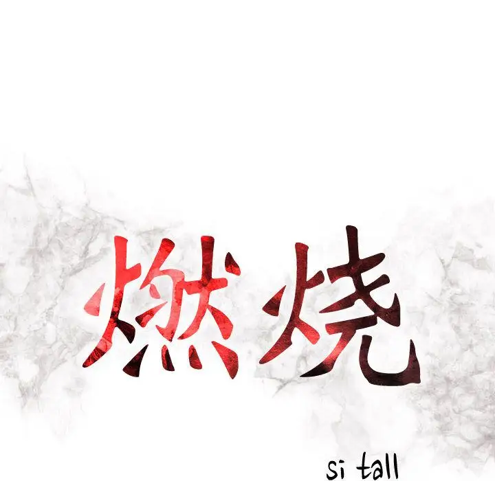 燃烧第4章