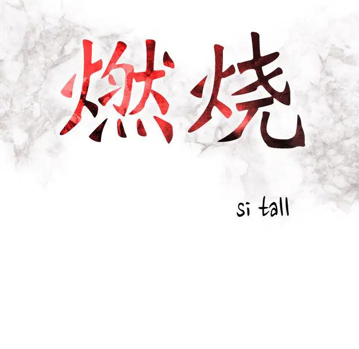 燃烧第18章
