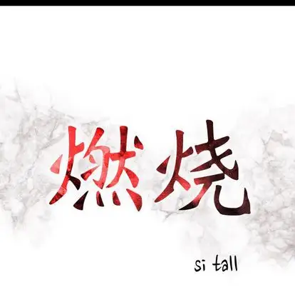 燃烧第29章