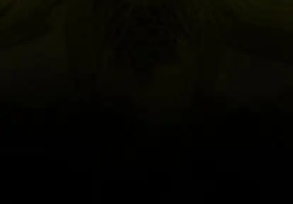巫女第47章