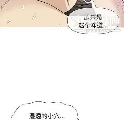 奇趣新人第8话