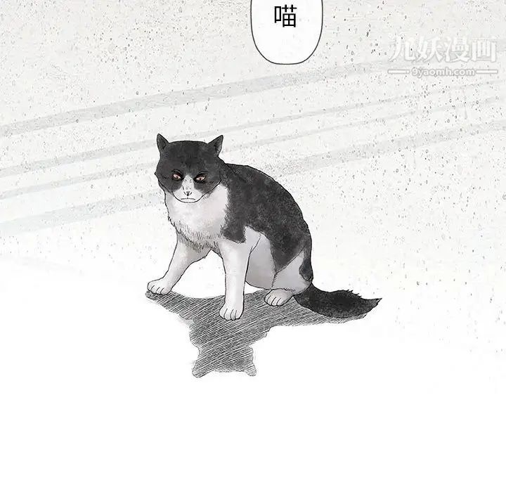 奇趣新人第28话