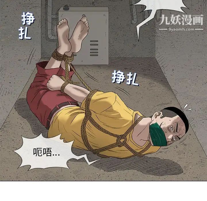 奇趣新人第37话