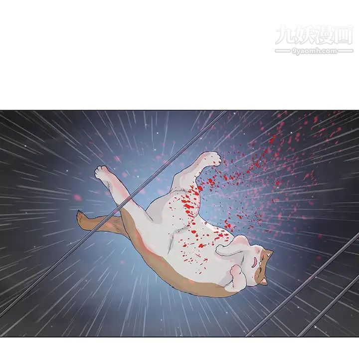 奇趣新人第43话