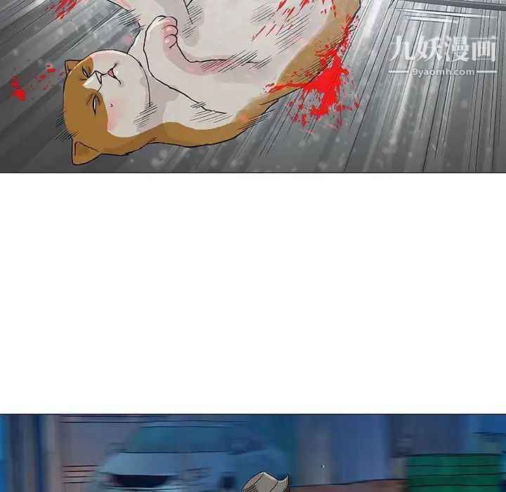 奇趣新人第43话