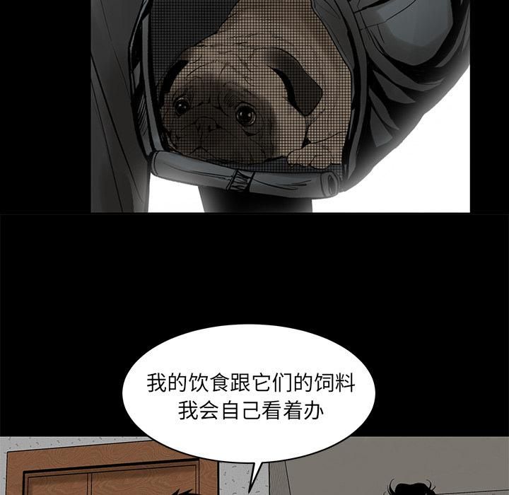 韩道修第4话