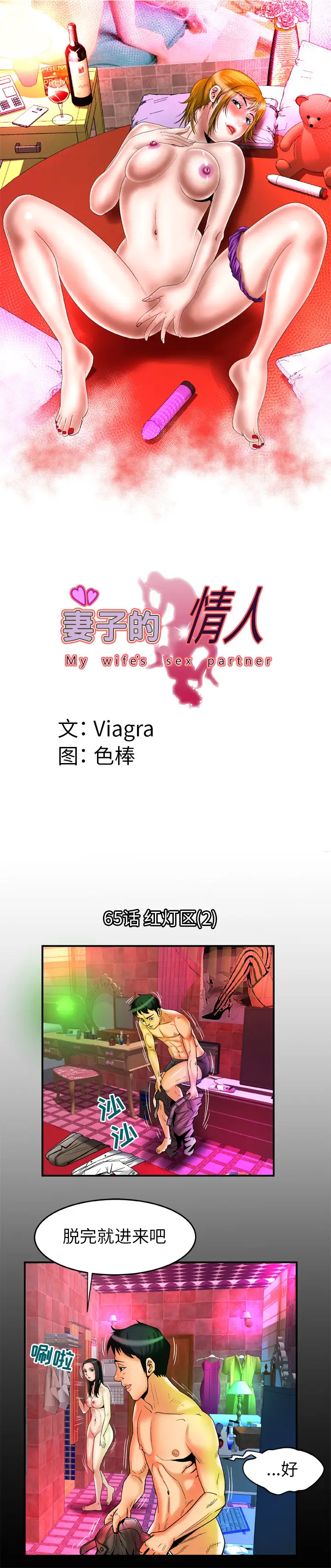 妻子的情人第65章
