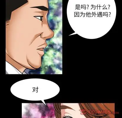妻子的情人第91章