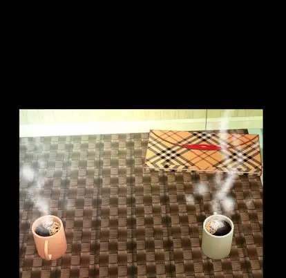 妻子的情人第91章