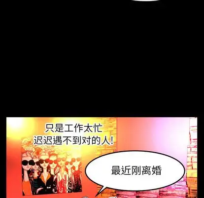 妻子的情人第92章