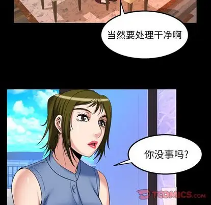 妻子的情人第94章