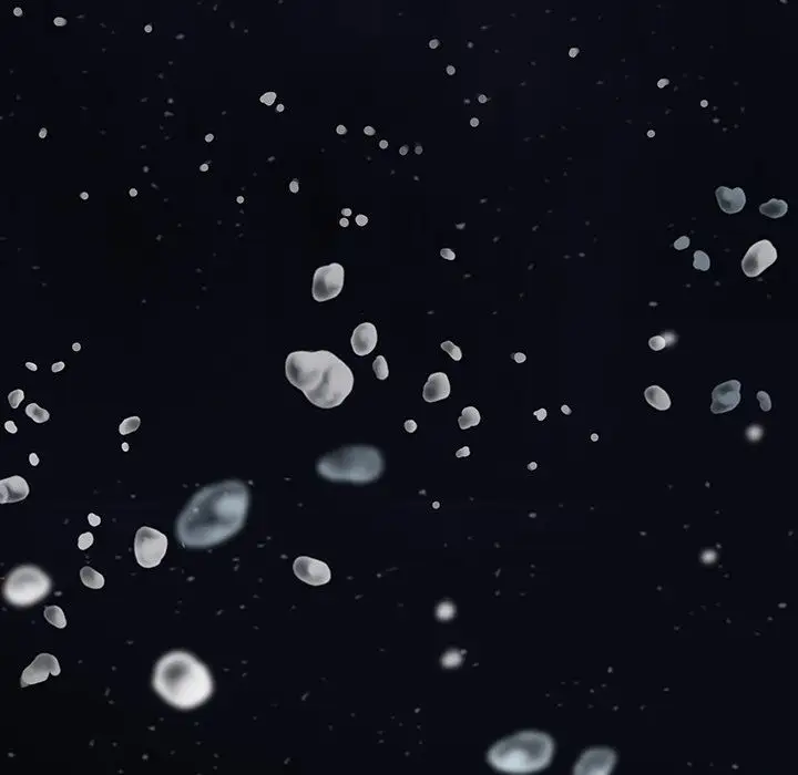 深海兽第42章
