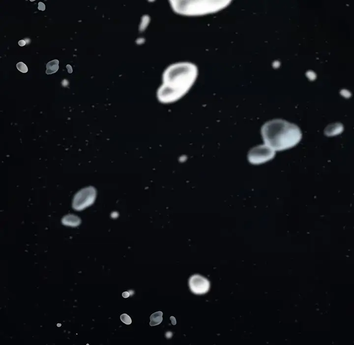 深海兽第42章