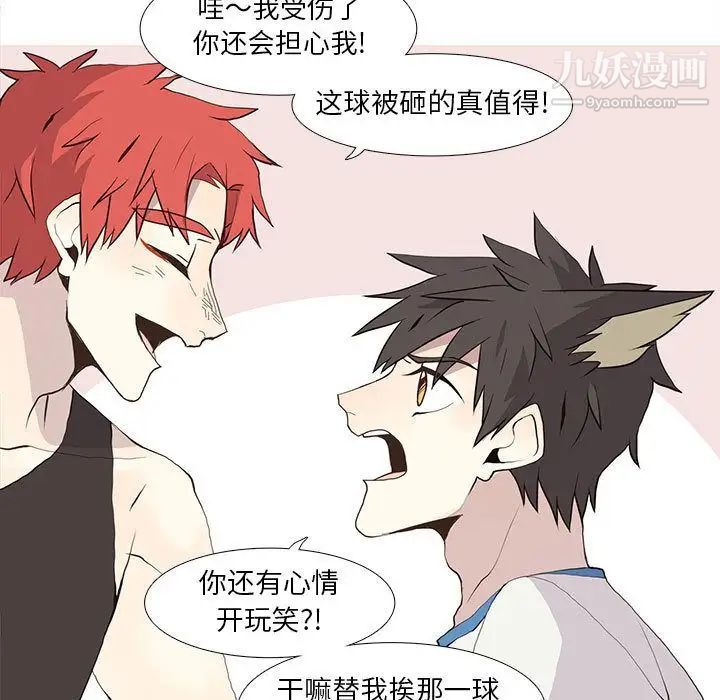 野性之城第25章