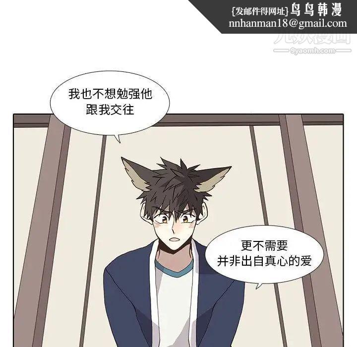 野性之城第29章