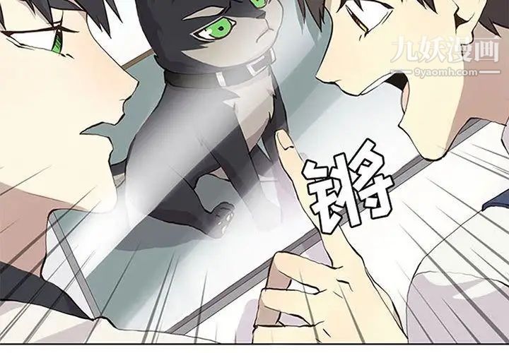野性之城第36章