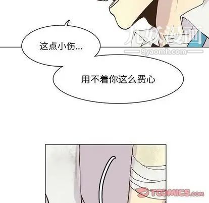 野性之城第47章