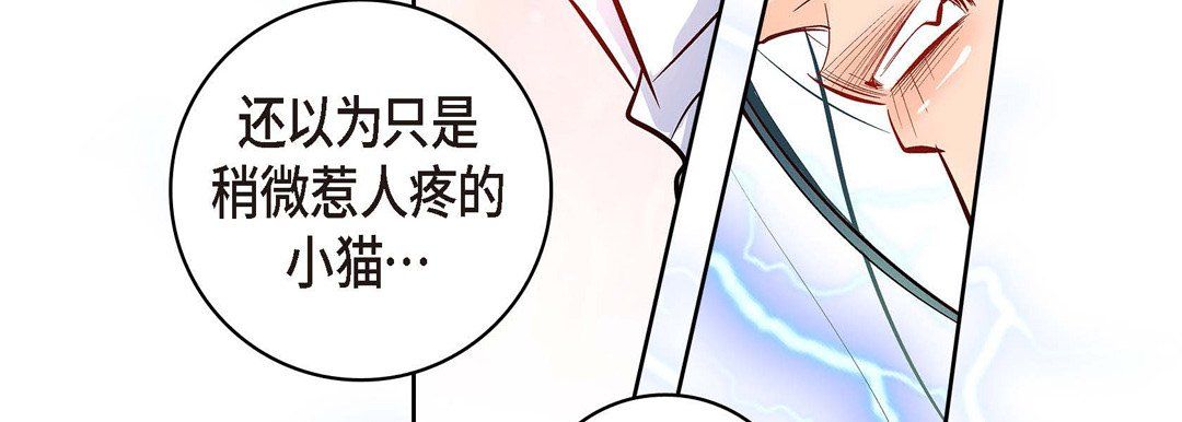 献给心脏第7话