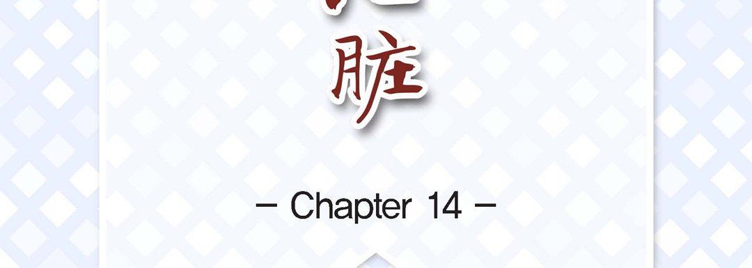 献给心脏第14话