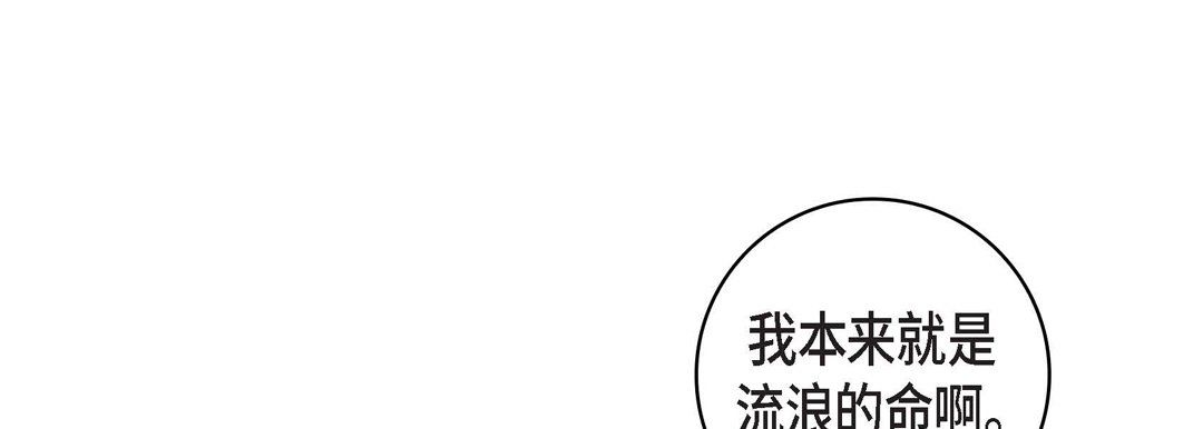 献给心脏第23话