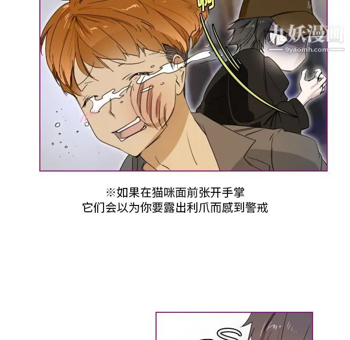 我的猫狗女友第3话