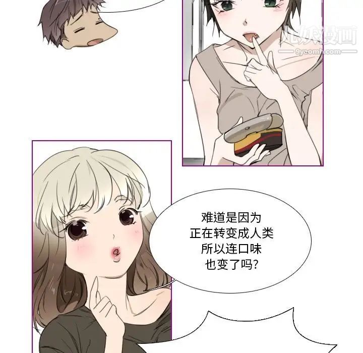 我的猫狗女友第4话