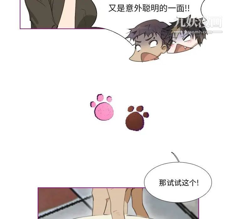 我的猫狗女友第4话