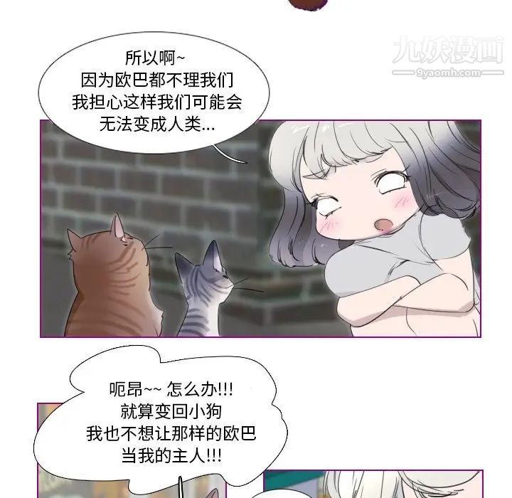 我的猫狗女友第11话