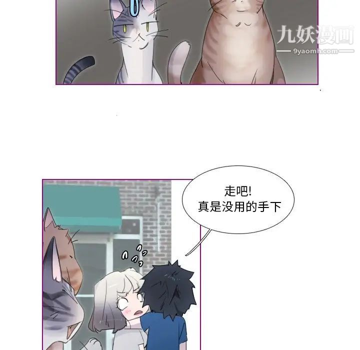 我的猫狗女友第11话