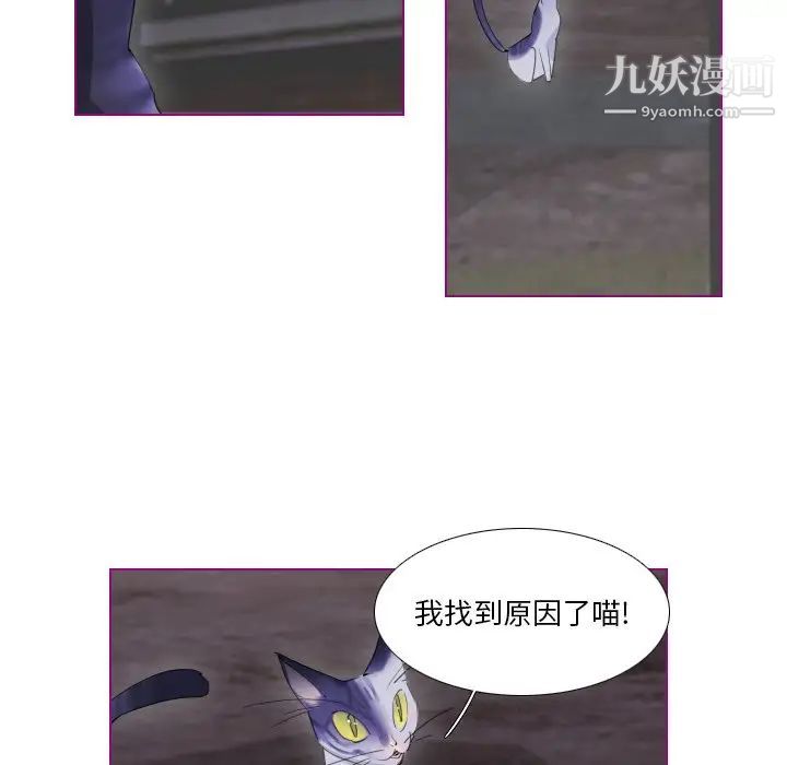 我的猫狗女友第12话