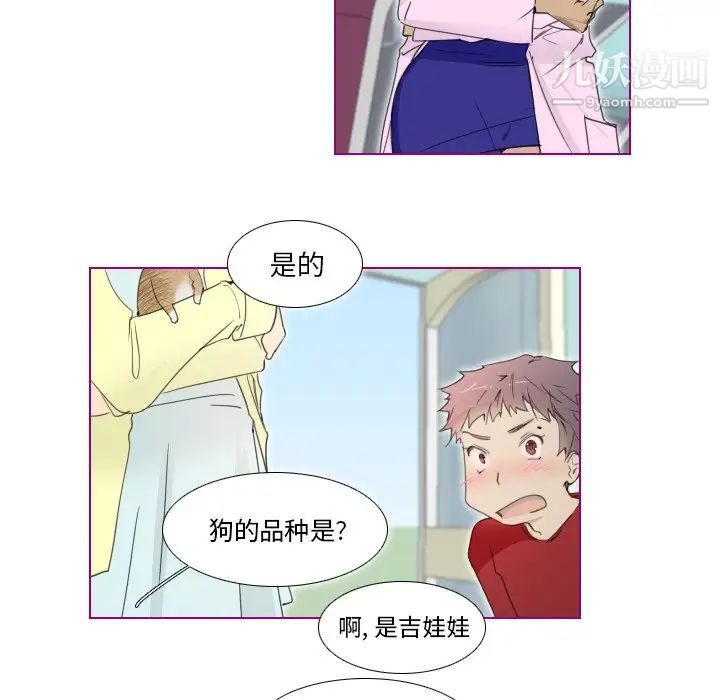 我的猫狗女友第13话