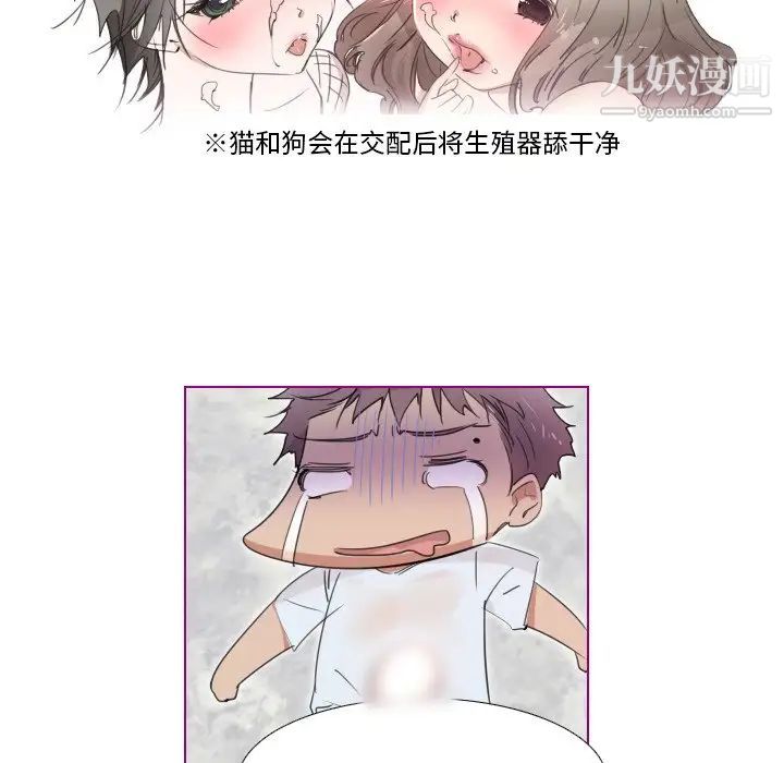 我的猫狗女友第16话-最终话（完结）