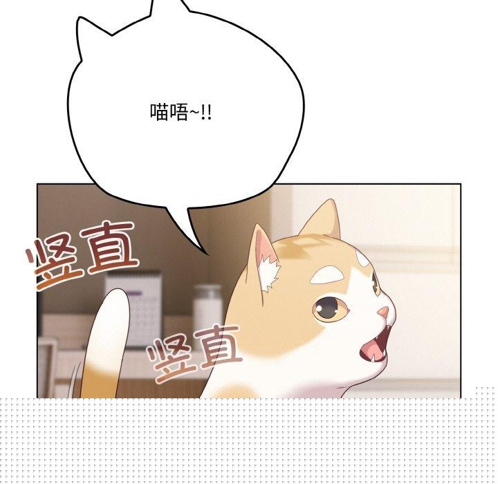 喵来的恋爱第11話