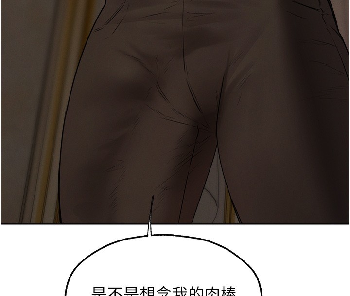 异界猎妻人第89話-有砲自遠方來，不亦樂乎